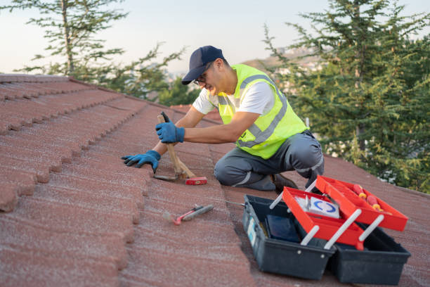 Best Residential Roofing Contractor  in Romeo, MI