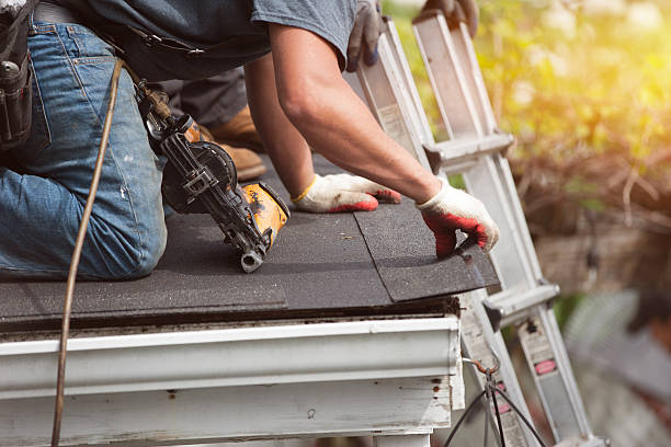 Best Roof Replacement Cost  in Romeo, MI