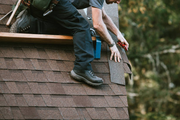 Best Roof Leak Repair  in Romeo, MI